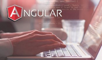 Instructor Led Angular Training with Web Age Solutions